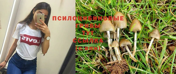 стафф Аркадак