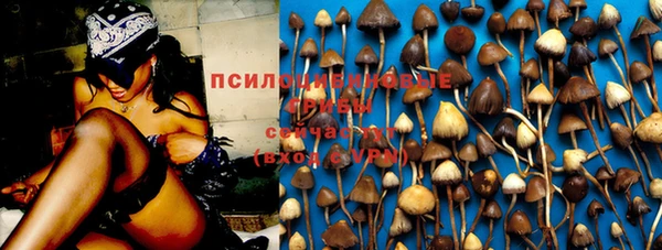 стафф Аркадак