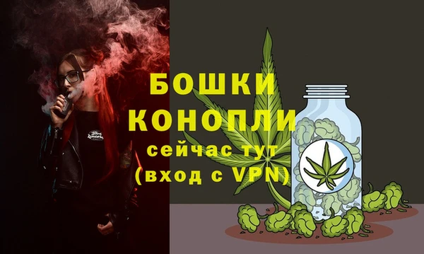стафф Аркадак