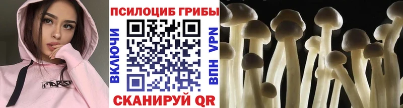 блэк спрут сайт Саки Псилоцибиновые грибы MAGIC MUSHROOMS