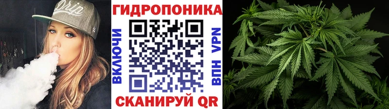 закладка  Саки  mega зеркало  Марихуана семена 